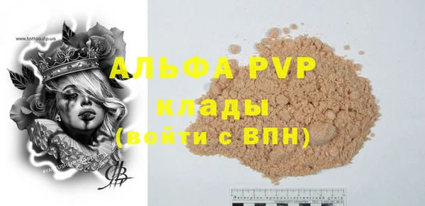 дживик Сясьстрой