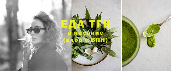 дживик Сясьстрой