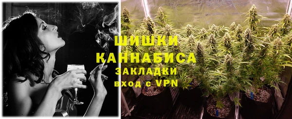 дживик Сясьстрой