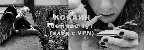 дживик Сясьстрой