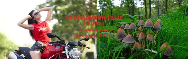 скорость mdpv Тайга