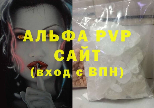 дживик Сясьстрой